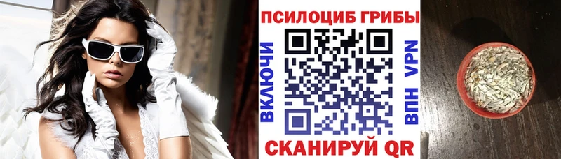 Галлюциногенные грибы Psilocybe  Мирный 